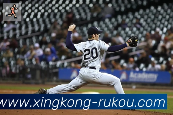 星空体育官网入口平台生态图