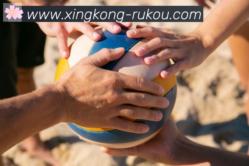 星空体育官网入口荣誉