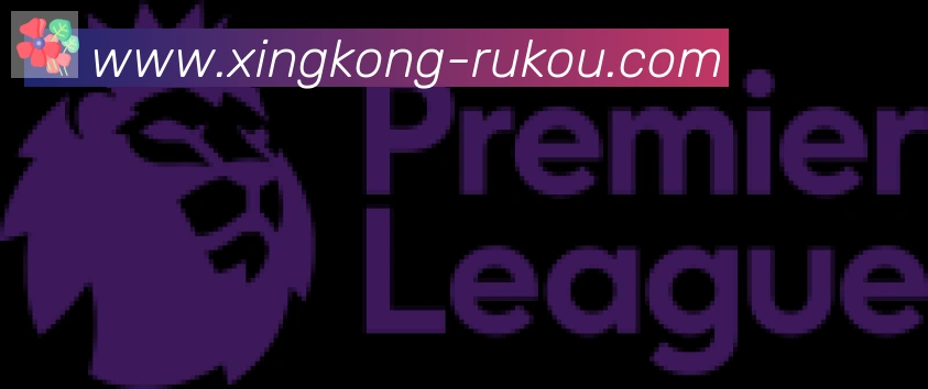 星空体育官网入口合作伙伴