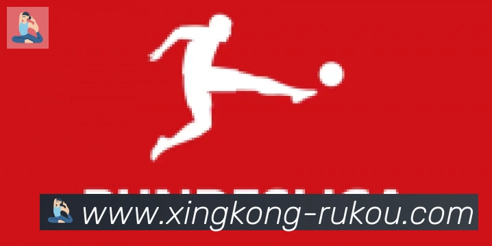 星空体育官网入口合作伙伴